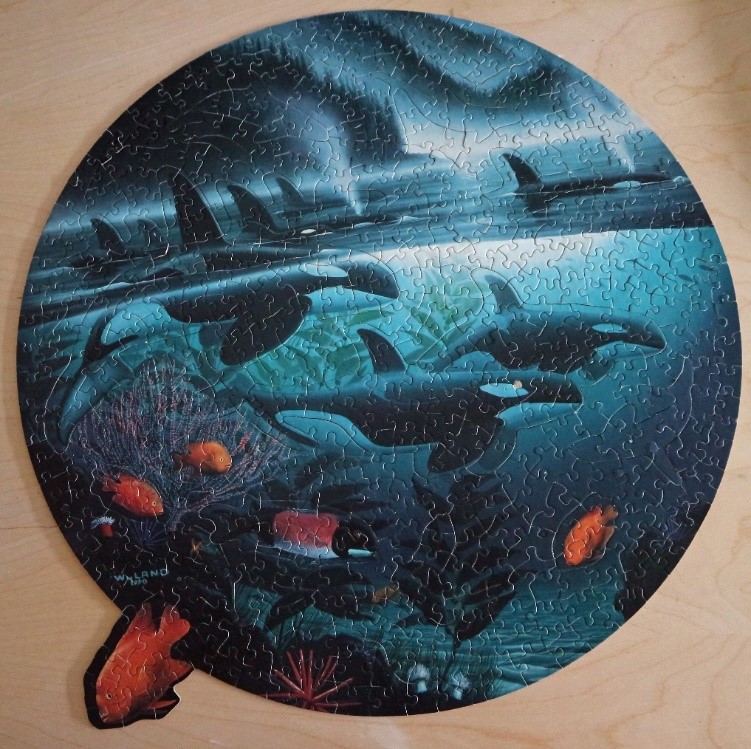Puzzle of Orcas